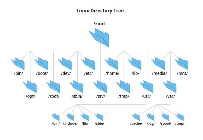 A typical Directory Structure in Linux